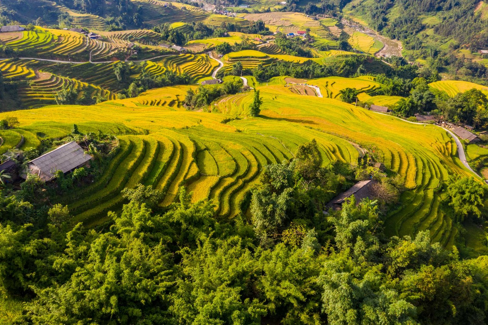 Book Sapa Bike Tour: The Ultimate Guide to Pedaling Northern Vietnam's Stairway to Heaven